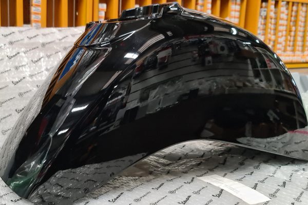 Vespa GTS 250 Front Mudguard