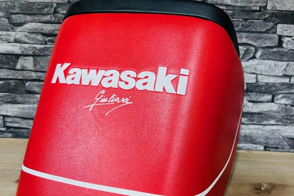 Kawasaki GPZ900R 1986-1993 BumStop